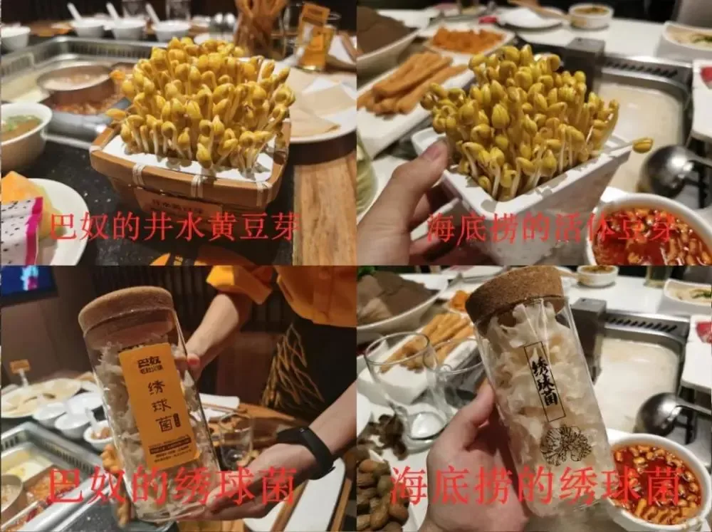 海底捞被质疑抄袭巴奴 海底捞被质疑抄袭巴奴