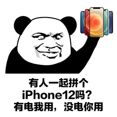 来拼个iPhone 12