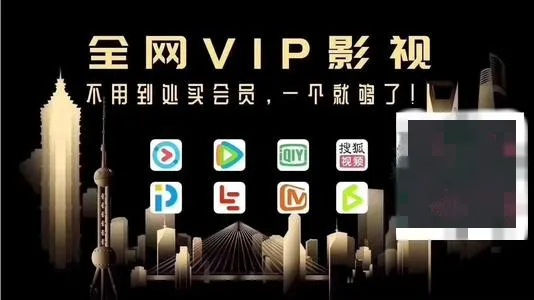 共享VIP乱象