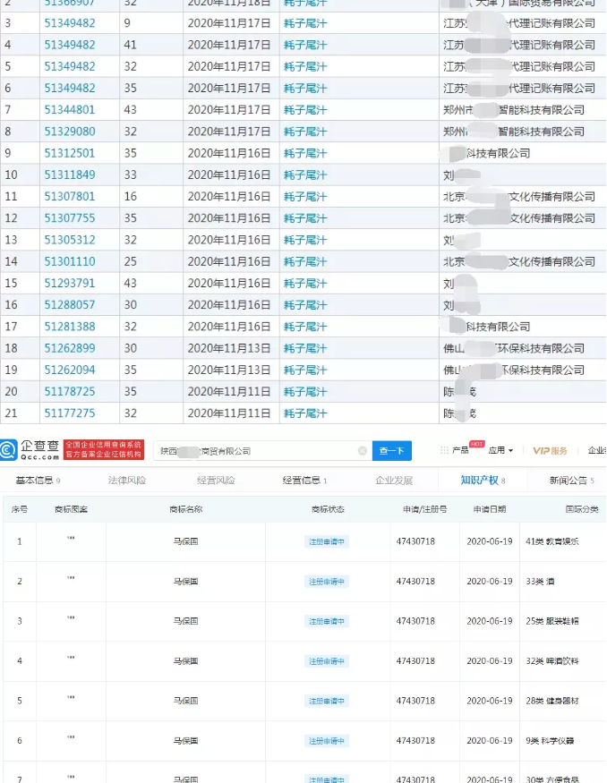 “耗子尾汁”和“马保国”均被抢注为商标 “耗子尾汁”和“马保国”均被抢注为商标