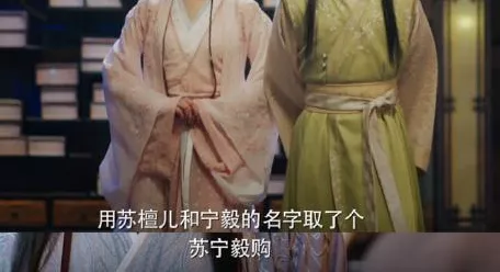 《赘婿》中男主想了个“苏宁毅购”的名称 《赘婿》中男主想了个“苏宁毅购”的名称