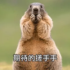 期待的搓手手 期待的搓手手