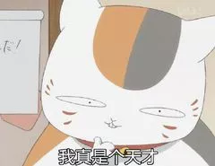 我真是个天才 我真是个天才