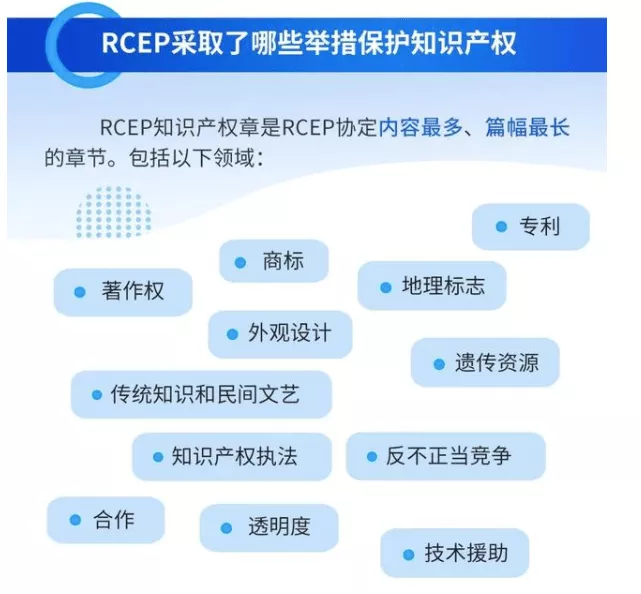 RCEP知识产权章 RCEP知识产权章
