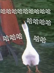 哈哈哈哈哈 哈哈哈哈哈