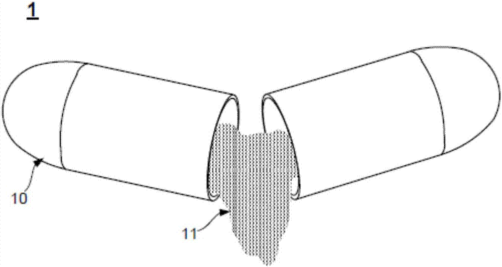 一种含不饱和脂肪酸的素食胶囊结构 一种含不饱和脂肪酸的素食胶囊结构