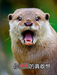 真敢想啊 真敢想啊