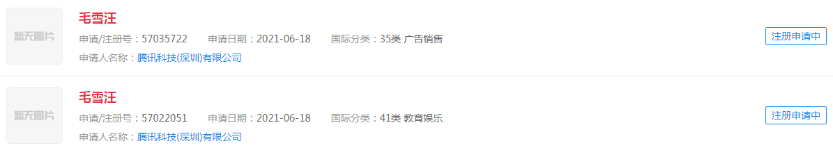 “毛雪汪”商标 “毛雪汪”商标