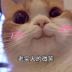 老实人的微笑 老实人的微笑