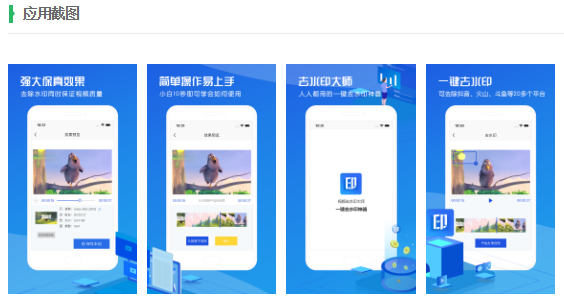 视频去水印大师