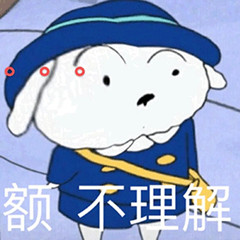 不理解 不理解