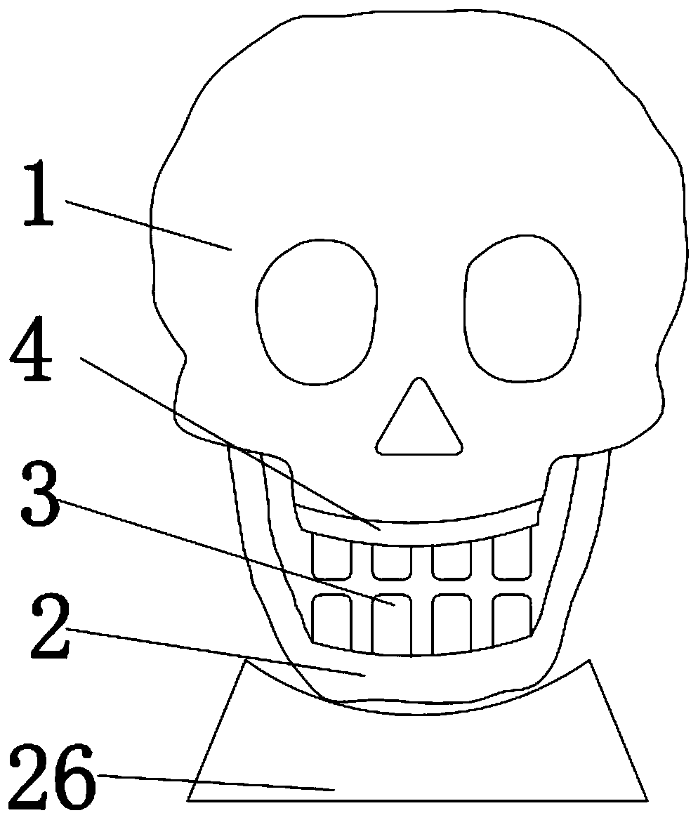 万圣节骷髅玩具 万圣节骷髅玩具