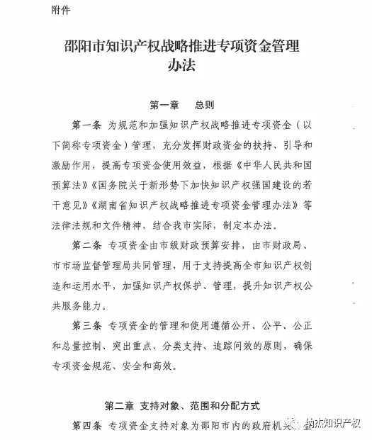 邵阳市知识产权战略推进专项资金管理办法 邵阳市知识产权战略推进专项资金管理办法