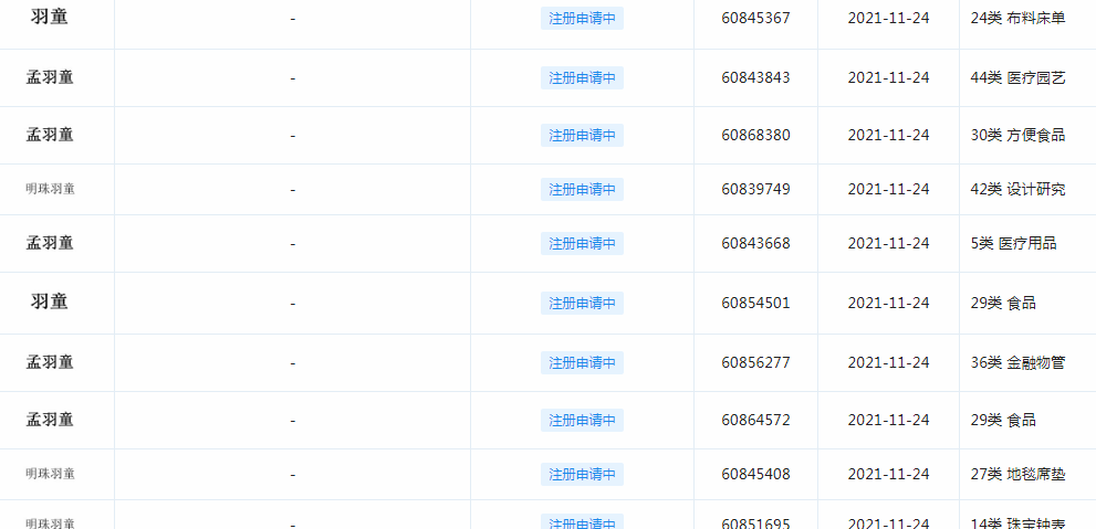 “明珠羽童”“孟羽童”“羽童”商标 “明珠羽童”“孟羽童”“羽童”商标